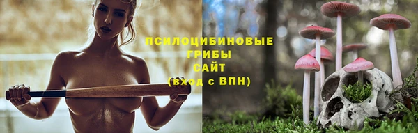 мдпв Волоколамск