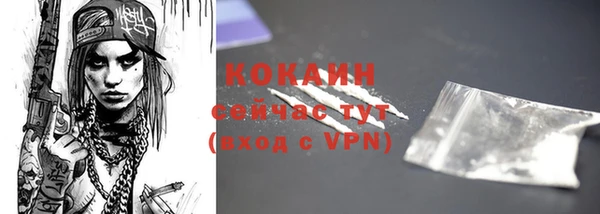 мдпв Волоколамск