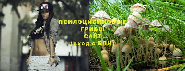 мдпв Волоколамск