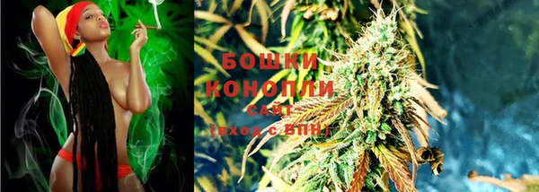 мдпв Волоколамск