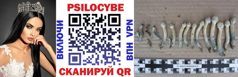 Купить где  Пушкино  Галлюциногенные грибы прущие грибы 