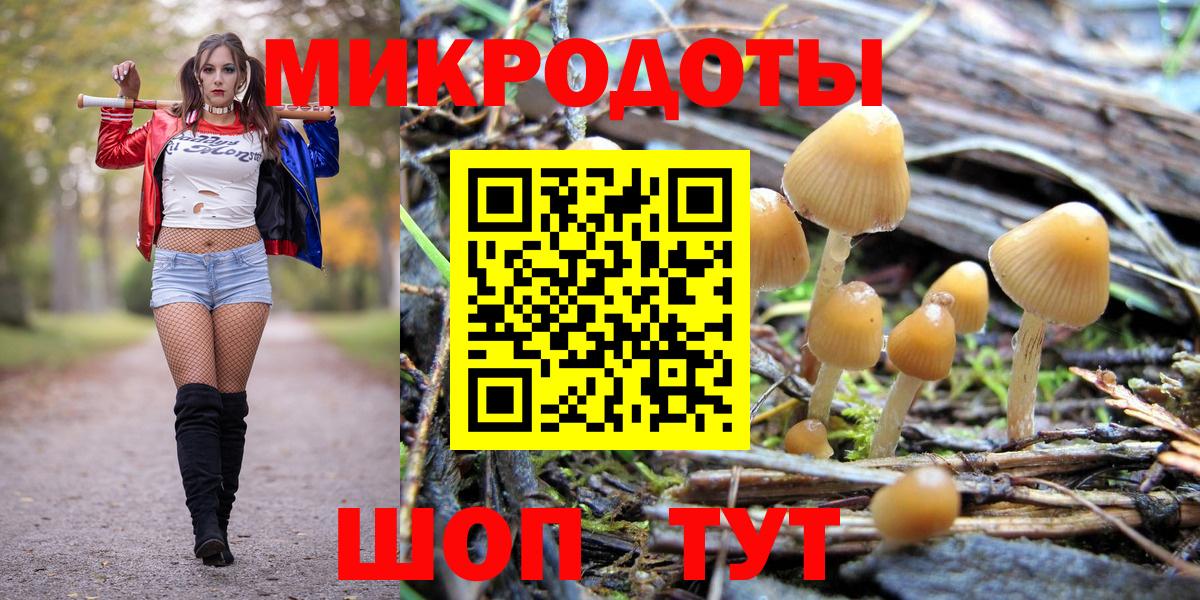 Галлюциногенные грибы MAGIC MUSHROOMS Пушкино