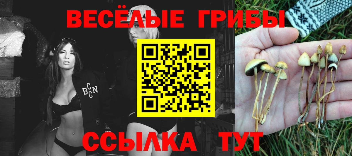 Псилоцибиновые грибы MAGIC MUSHROOMS Пушкино